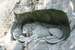 Current Image: 'Dying Lion of Luzern' - Monument in natural rock