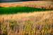Previous Image: Galena's colorful fields