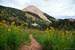 Burro Pass Trail and Mt. Tomasaki