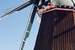 Current Image: Dutch Windmill, De Immigrant - Fulton, IL
