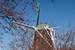 Dutch Windmill, De Immigrant - Fulton, IL