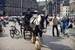 Previous Image: Horse and carriage at Dam Square
