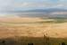 Next Image: Ngorongoro Crater Wide Panoramic