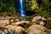 Next Image: Maui Waterfall
