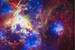 Next Image: Tarantula Nebula