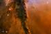 Next Image: Stellar spire in the Eagle Nebula