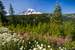 Previous Image: Mount Rainier