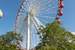 Previous Image: Navy Pier Ferris Wheel