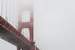 Previous Image: Golden Gate Bridge Shrouded in Fog