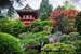Next Image: Japanese Tea Garden - Golden Gate Park