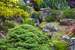 Next Image: Cascade Waterfall - Japanese Tea Garden
