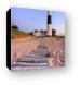 Big Sable Point Lighthouse Canvas Print