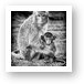 Mother and Baby Monkey B&W Art Print