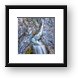 Christine Falls in Mount Rainier National Park Framed Print