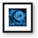 Moody Blue Rose Bouquet Framed Print