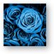 Moody Blue Rose Bouquet Metal Print