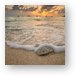 Grand Cayman Beach Coral Waves at Sunset Metal Print