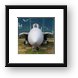 Grumman F-14D Super Tomcat Framed Print