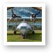 Consolidated PBY-5A Catalina Art Print