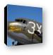 C-47 That's All Brother Canvas Print