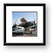 AD-6 Wiley Coyote  Framed Print