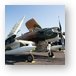 AD-6 Wiley Coyote  Metal Print