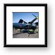NX7629C Grumman F7F Tigercat 374 Framed Print
