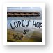 Lope's Hope  Art Print