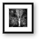 Multnomah Falls Black and White Framed Print