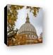 Madison Capital Dome in Autumn Canvas Print