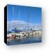 Boats in Red Hook Marina Canvas Print