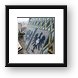 View from Stephansdom's Bell Tower Framed Print