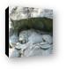 Dying Lion of Luzern Canvas Print