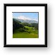 The Swiss Alps (train ride from Luzern to Interlaken) Framed Print