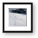 Glacier between Monch and Jungfrau Framed Print