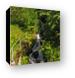 Waterfall shot from moving train Canvas Print