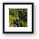 Waterfall shot from moving train Framed Print