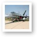 F-18 Hornet Art Print