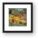 Corals on The River Taw Framed Print