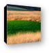Galena's colorful fields Canvas Print