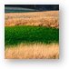 Galena's colorful fields Metal Print