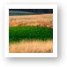 Galena's colorful fields Art Print