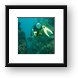 Patti swimming through a coral canyon Framed Print