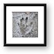 Hand print in cement Framed Print