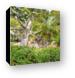 Very green landscaping Canvas Print