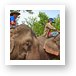 Elephant riding tour guides Art Print
