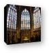 One of many vestibules around the Cathedral Canvas Print
