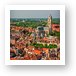 View from the belfry - St. Saviours Cathedral Art Print
