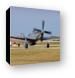 P-51D Mustang - 'Cloud Dancer' Canvas Print