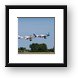 P-51D Mustangs on formation take-off Framed Print